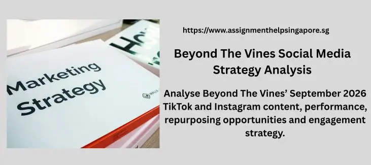 Beyond The Vines Social Media Strategy Analysis