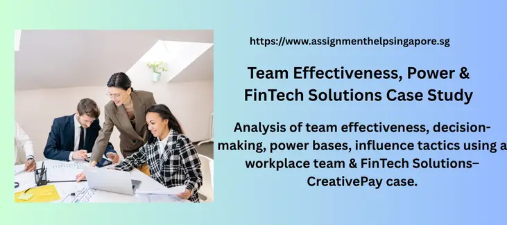 Team Effectiveness, Power & FinTech Solutions Case Study